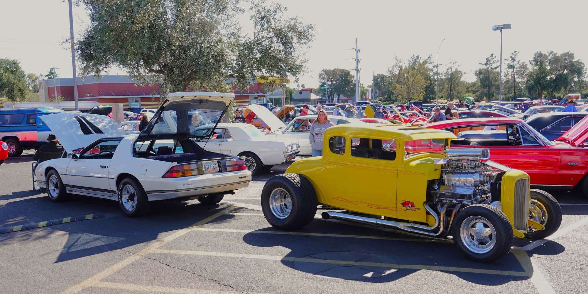 DSC01473
