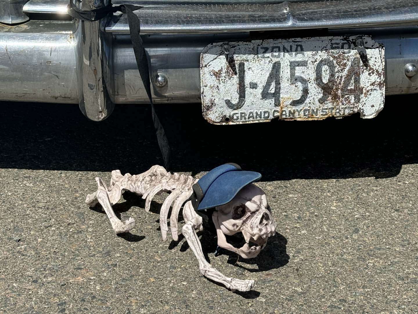 IMG_2909