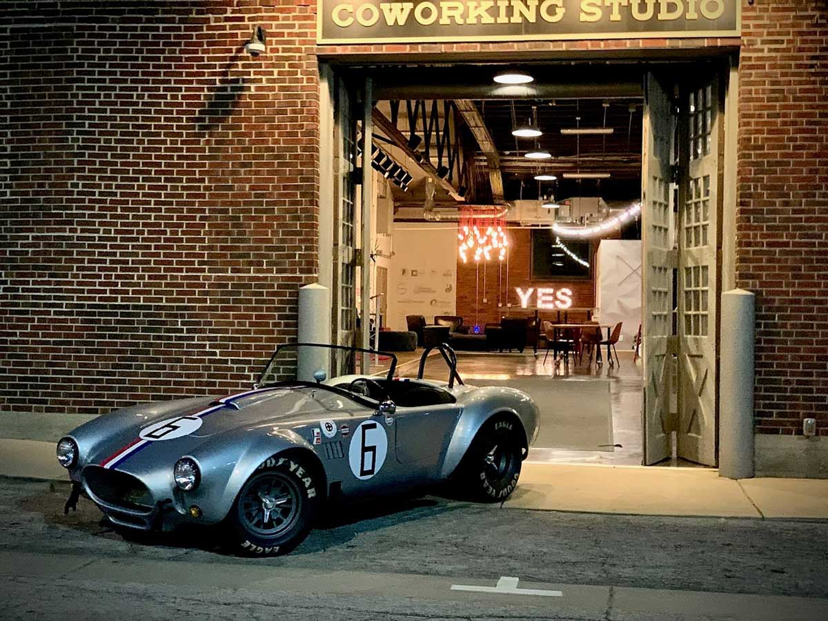 Cobra—number-6
