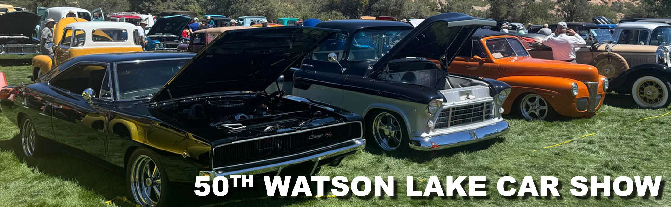 story-banners-watson